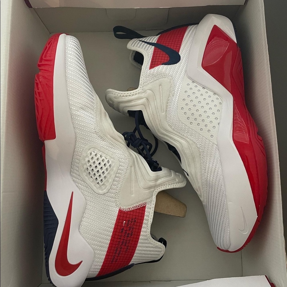 Lebron Soldier XIV